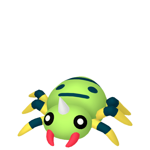 圆丝蛛