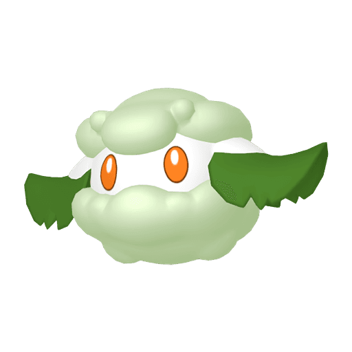 木棉球