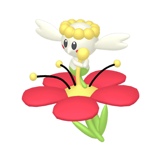 花蓓蓓