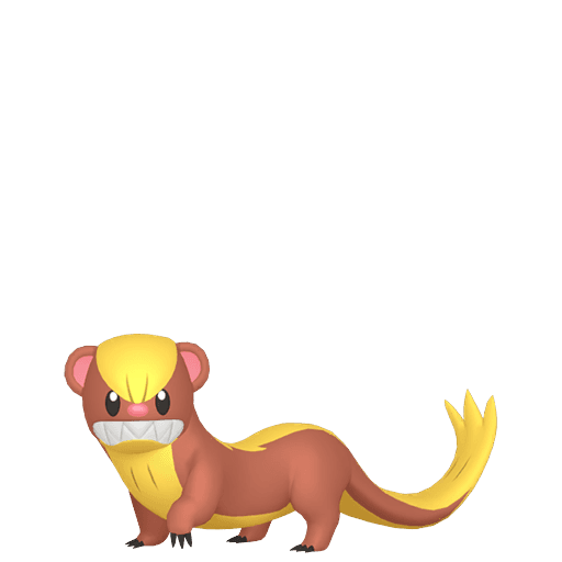 猫鼬少