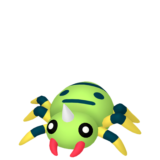 圆丝蛛
