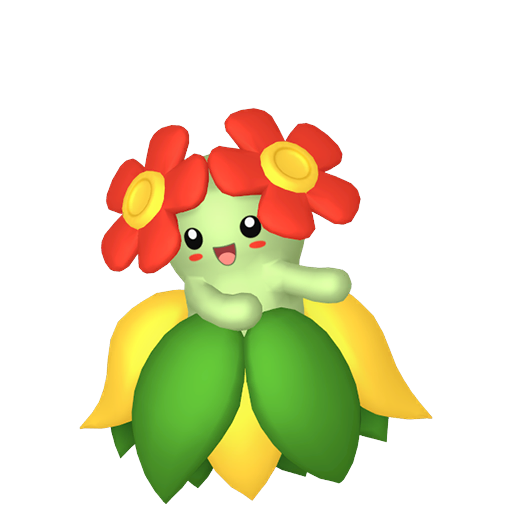 美丽花