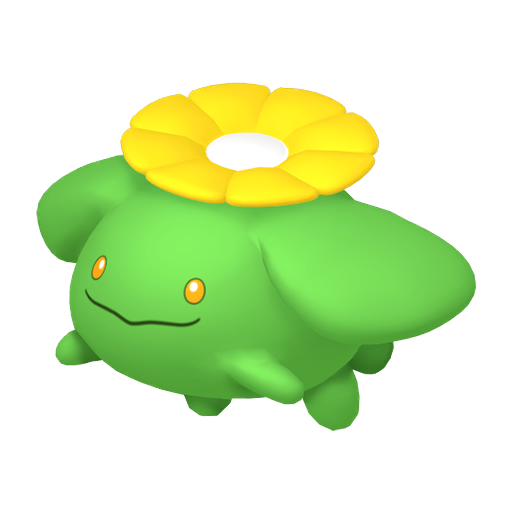毽子花