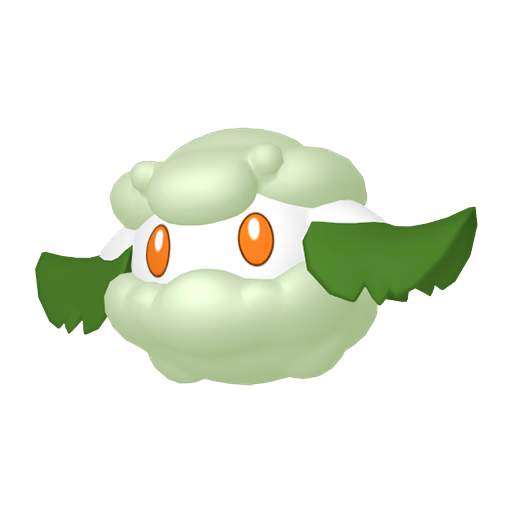 木棉球