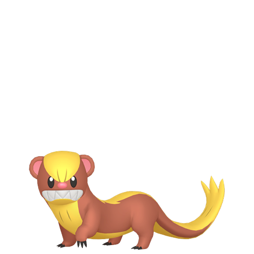 猫鼬少